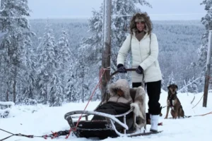 Clientes montados en el trineo de huskies