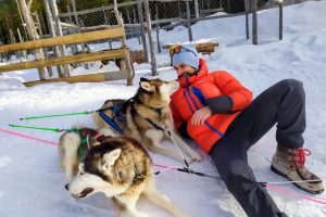 Igor guía español con husky en la nieve de Rovaniemi Finlandia