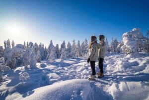 excursiones rovaniemi guia espanol